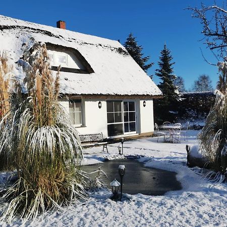 Reetferienhaus - Schaprode Hafen Esterno foto
